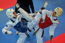 حذف دو نماینده ایران از رقابت های قهرمانی تکواندوی آسیا